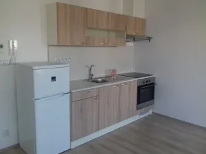 Pronájem bytu 1+kk, Brno, Kigginsova, 47 m2