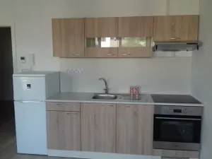 Pronájem bytu 1+kk, Brno, Kigginsova, 47 m2