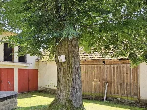 Prodej zemědělské usedlosti, Slabčice, 109 m2