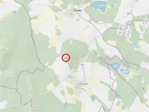 Prodej lesa, Jihlava, 3272 m2