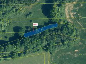 Dražba lesa, Újezd u Plánice, 613 m2