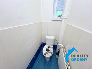 Pronájem bytu 4+1, Děčín, Revoluční nám., 103 m2