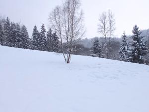 Prodej pozemku, Dlouhý Most, 8531 m2