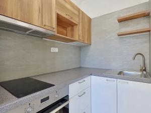 Pronájem bytu 1+kk, Brno, Trnkova, 23 m2