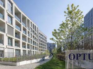 Pronájem bytu 2+kk, Praha - Karlín, Breitfeldova, 63 m2