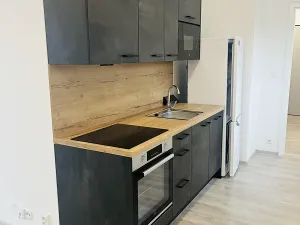 Pronájem bytu 1+kk, Lovosice, Zámecká, 60 m2