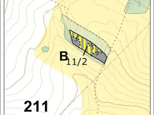 Prodej lesa, Mnich, 3111 m2