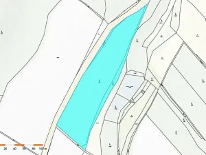 Prodej podílu lesa, Polná, 18408 m2