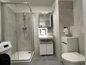 Pronájem bytu 1+kk, Olomouc, Aloise Rašína, 31 m2