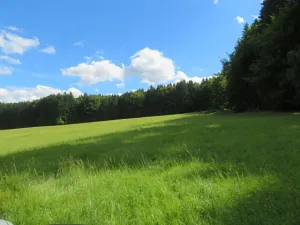 Dražba louky, Pec, 4175 m2