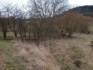 Dražba rodinného domu, Heroltice, 248 m2