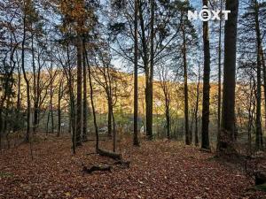 Prodej pozemku pro bydlení, Malá Skála, 3487 m2