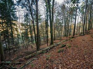 Prodej pozemku pro bydlení, Malá Skála, 3487 m2