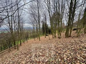 Prodej chaty, Jarcová, 69 m2