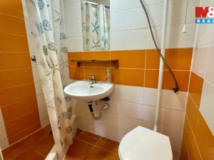 Pronájem bytu 1+1, Olomouc, Dukelská, 28 m2