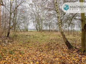 Prodej pozemku, Libina, 7132 m2