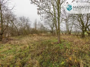 Prodej pozemku, Libina, 7132 m2