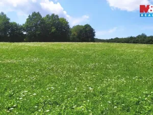 Prodej louky, Štramberk, 4766 m2