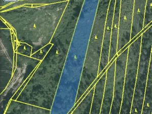 Prodej lesa, Blížejov - Lštění, 4481 m2
