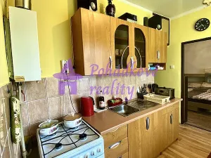 Prodej bytu 1+1, Břidličná, Nerudova, 34 m2