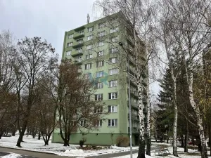 Pronájem bytu 3+1, Třeboň, Hliník, 59 m2