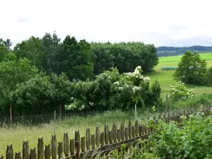 Prodej rodinného domu, Čestice, 320 m2