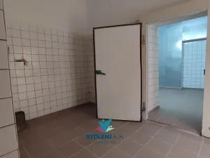 Pronájem obchodního prostoru, Teplice, Masarykova třída, 120 m2