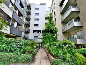 Pronájem bytu 2+kk, Praha - Žižkov, Prokopova, 62 m2