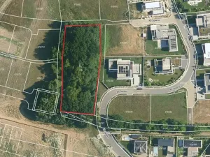 Prodej lesa, Praha, 3657 m2