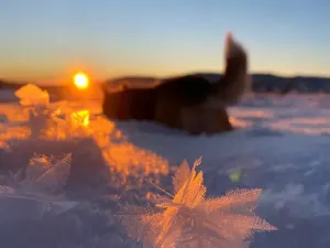 Prodej rodinného domu, Kvilda, 408 m2