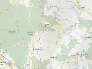 Dražba pozemku, Olešnice, 1135 m2