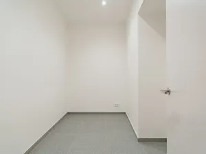 Pronájem bytu 3+kk, Praha - Vinohrady, Pod Karlovem, 100 m2