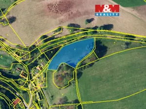 Prodej louky, Teplice nad Metují - Horní Teplice, 5449 m2