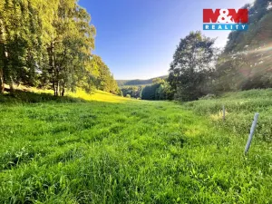 Prodej louky, Teplice nad Metují - Horní Teplice, 5449 m2