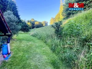 Prodej louky, Teplice nad Metují - Horní Teplice, 5449 m2