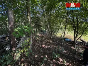 Prodej bytu 3+1, Dubá - Dřevčice, 70 m2