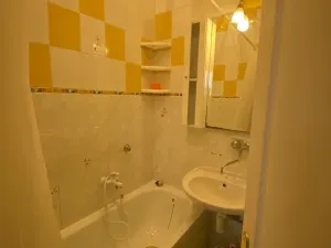 Pronájem bytu 2+1, České Budějovice, Puklicova, 53 m2