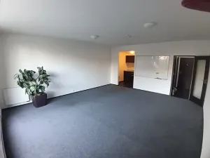 Pronájem bytu 1+kk, Brno, Hlinky, 44 m2