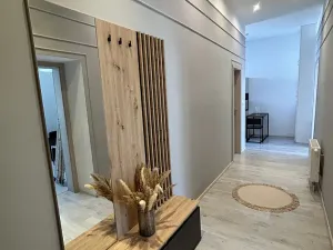 Pronájem bytu 3+1, Brno, Štefánikova, 73 m2