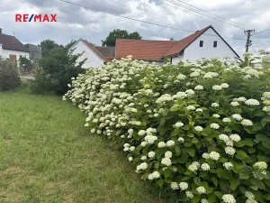 Prodej chalupy, Mlečice, 90 m2