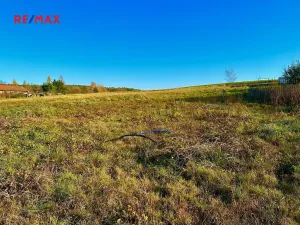 Prodej pozemku pro bydlení, Ostřetín, 5742 m2