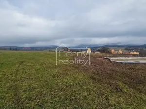 Prodej pozemku pro bydlení, Černý Důl, 1882 m2