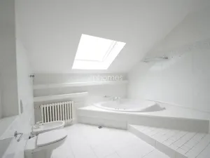 Pronájem bytu 6+kk a větší, Praha - Braník, Psohlavců, 290 m2