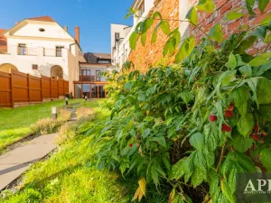 Prodej obchodního prostoru, Uherský Brod, Masarykovo nám., 275 m2