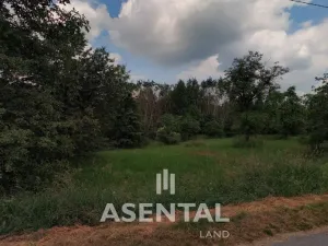 Prodej komerčního pozemku, Havířov - Prostřední Suchá, Stará, 5634 m2