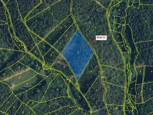 Dražba lesa, Jílové u Držkova, 10166 m2