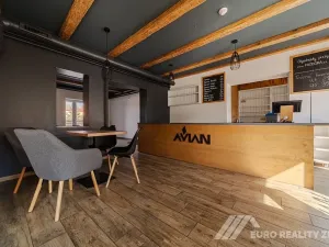 Pronájem restaurace, Otrokovice, Dr. E. Beneše, 237 m2