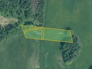 Prodej louky, Cerhonice, 41957 m2