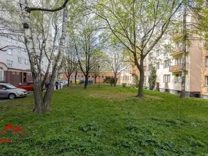 Pronájem bytu 3+kk, Opava, Kasárenská, 62 m2