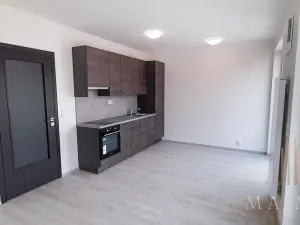 Pronájem bytu 1+kk, Praha - Holešovice, Na Maninách, 33 m2